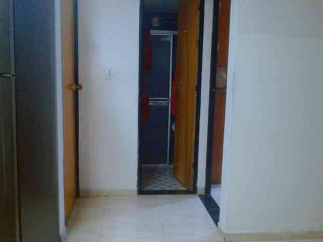 IXCHEL9153
