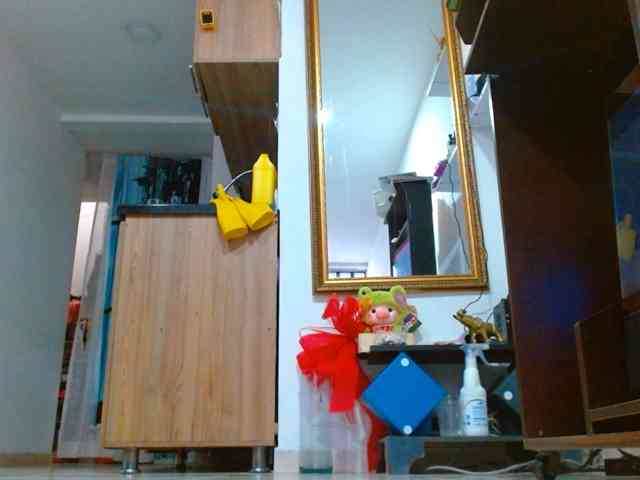 IXCHEL9153