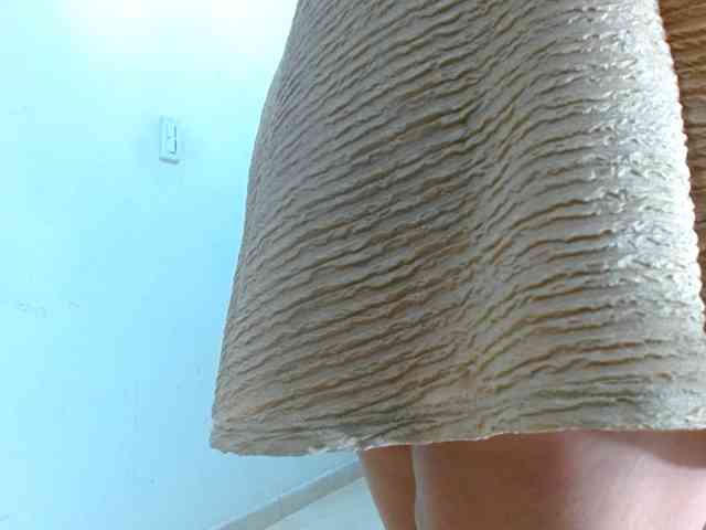 IXCHEL9153