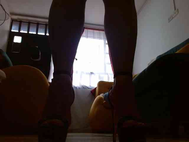 IXCHEL9153 webcam