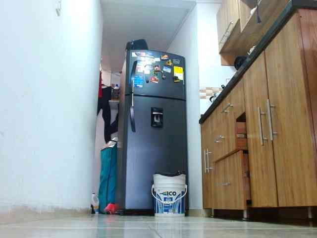 IXCHEL9153 webcam
