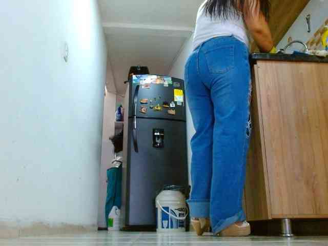 IXCHEL9153 webcam