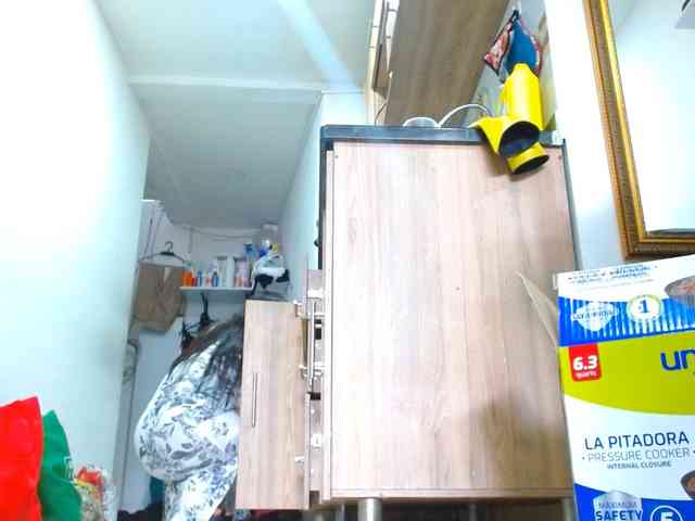 IXCHEL9153 webcam