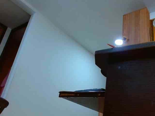 IXCHEL9153 webcam