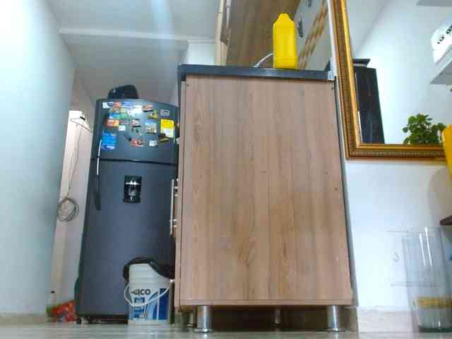 IXCHEL9153