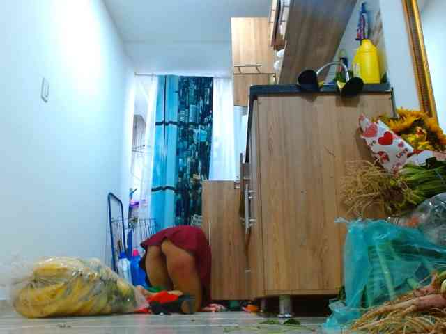 IXCHEL9153 webcam