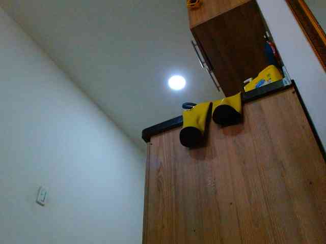 IXCHEL9153