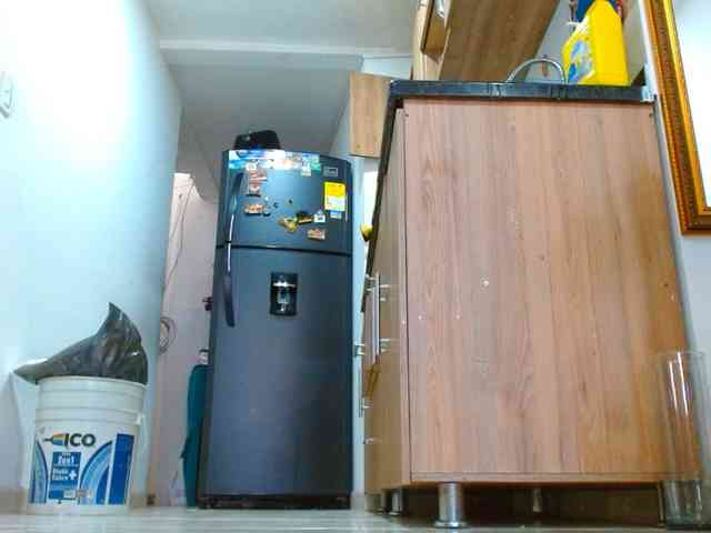 IXCHEL9153 webcam