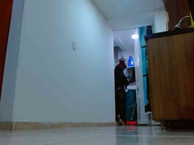 IXCHEL9153 webcam