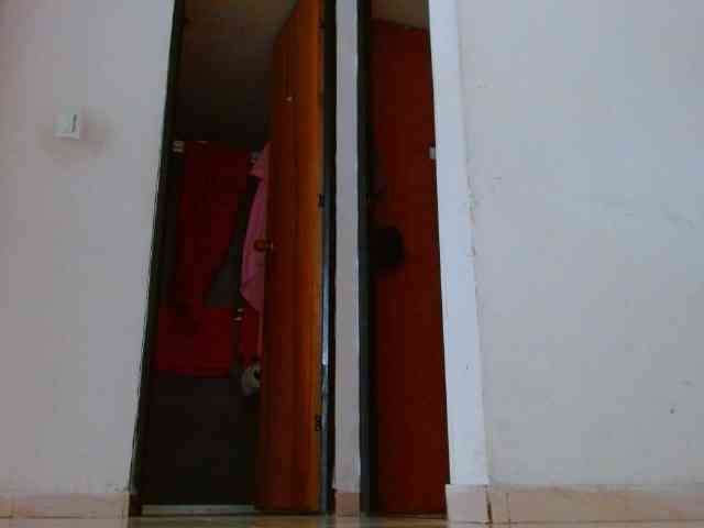 IXCHEL9153