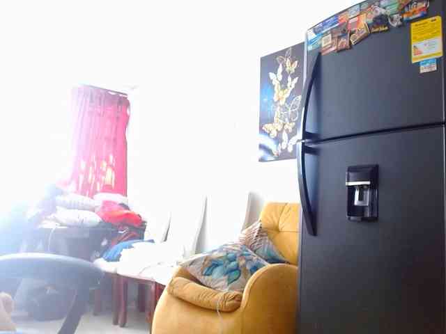 IXCHEL9153