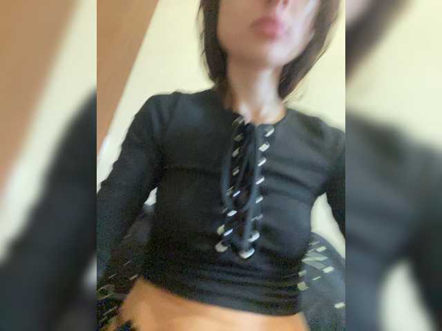 модель -STEYSHA-
