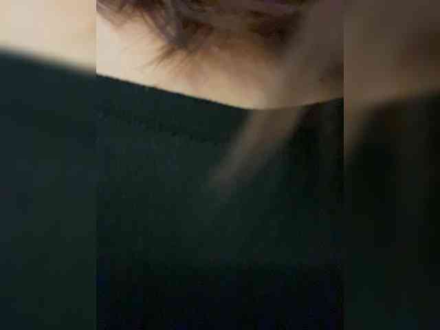 -STEYSHA- -STEYSHA-