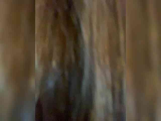 nastya_murrrr webcam