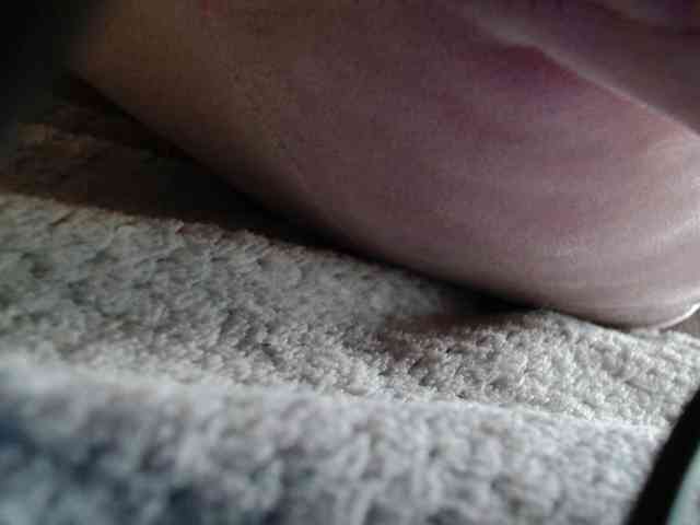 nastya_murrrr webcam