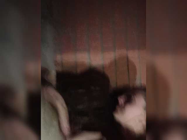 Homep-0k live cam on BongaCams