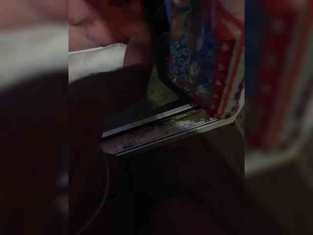Homep-0k webcam
