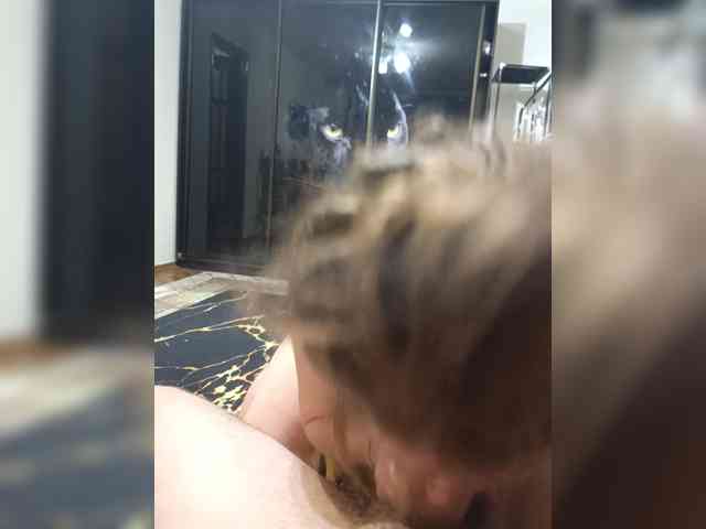 Homep-0k webcam