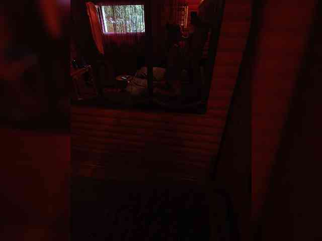 Homep-0k webcam
