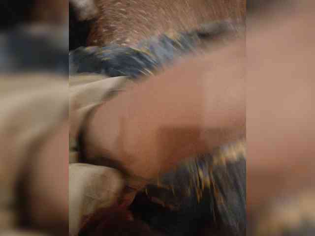 Homep-0k