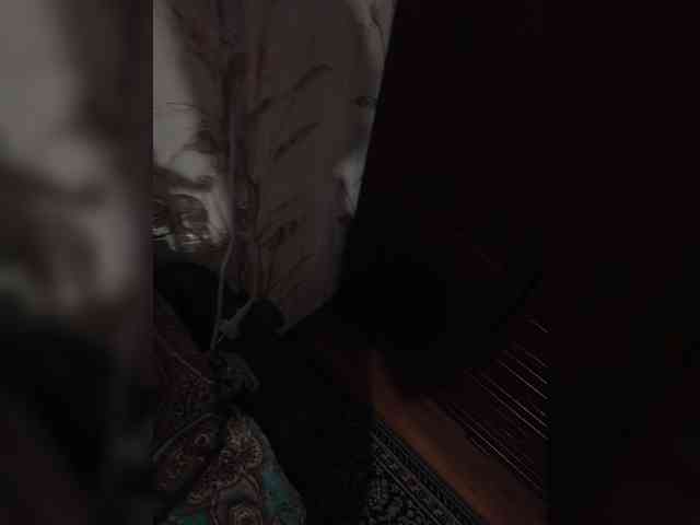 Homep-0k webcam
