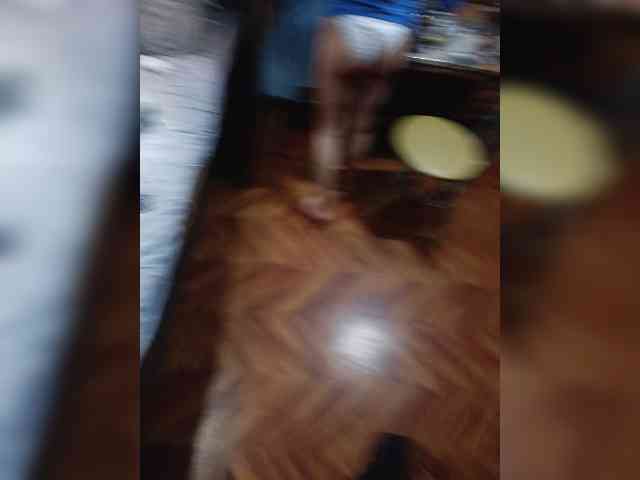 Homep-0k