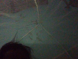 tryciah's Live Webcam