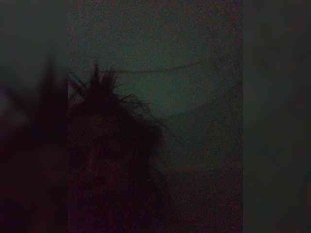 tryciah webcam