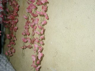 Pussy01lips's Live Webcam