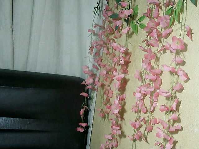 Pussy01lips live cam on BongaCams
