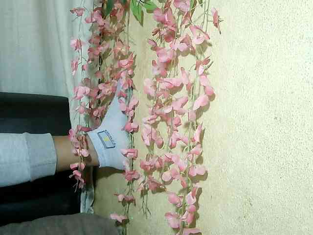 Pussy01lips webcam