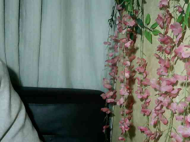 Pussy01lips webcam