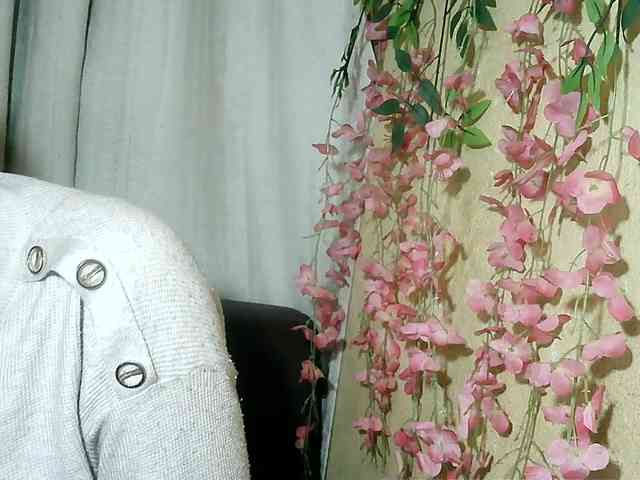 Pussy01lips webcam