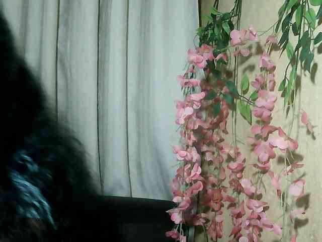 Pussy01lips webcam