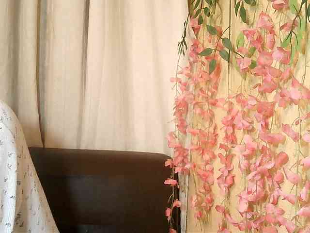 Pussy01lips webcam