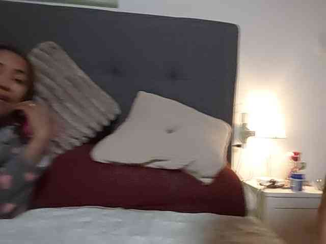 Vikingoshot webcam