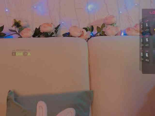 inheart webcam