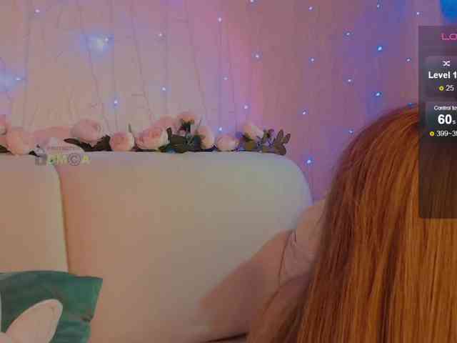 inheart webcam