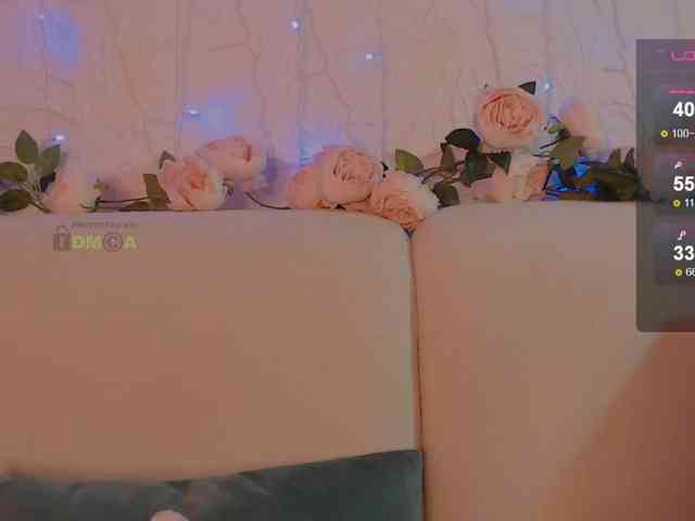 inheart webcam