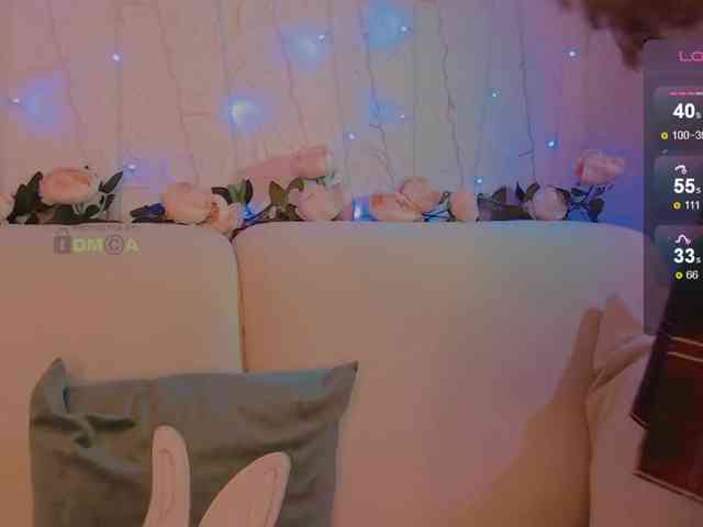 inheart webcam