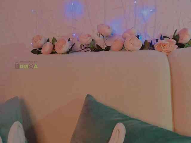 inheart webcam