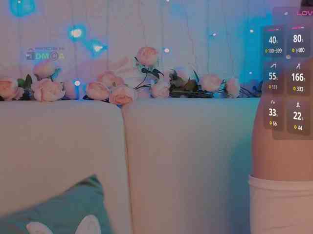 inheart webcam