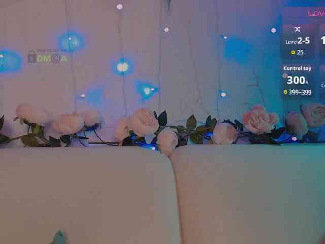 inheart webcam