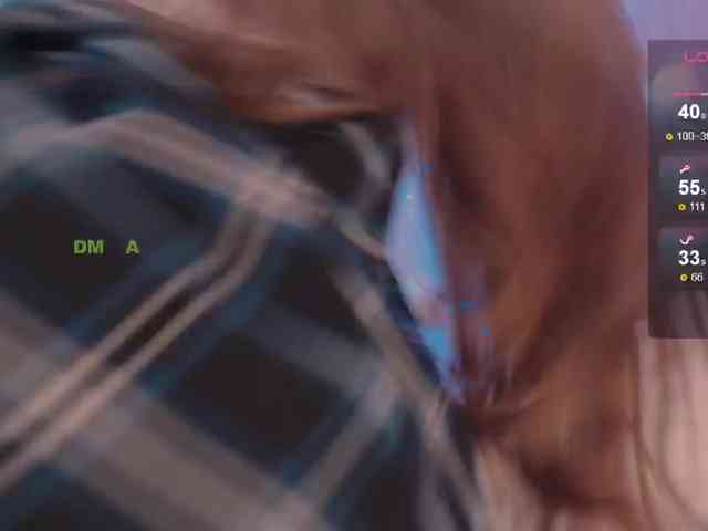inheart webcam