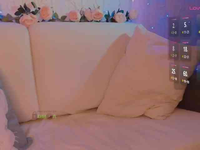 inheart webcam