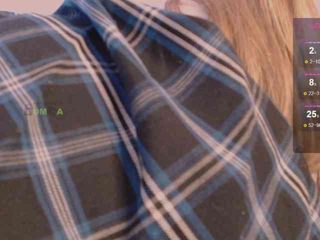 inheart webcam