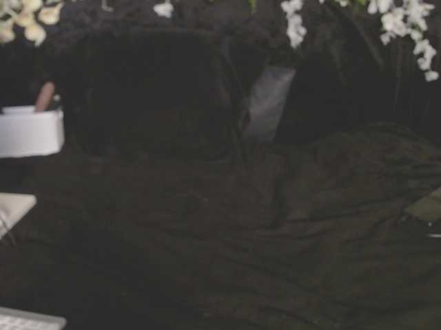  olhanodeta1ls chat room