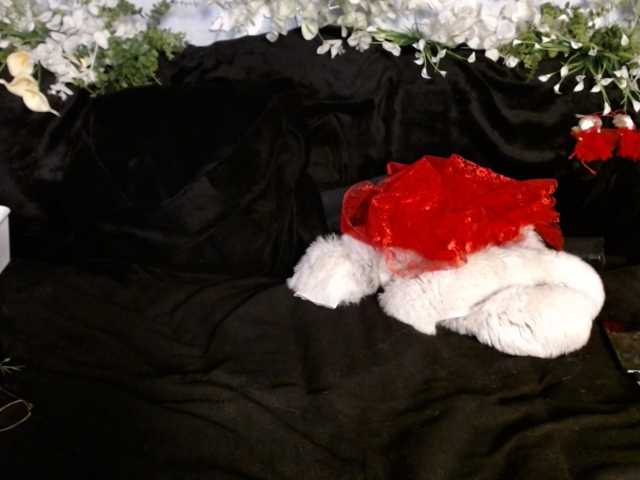 SeaBaby live cam