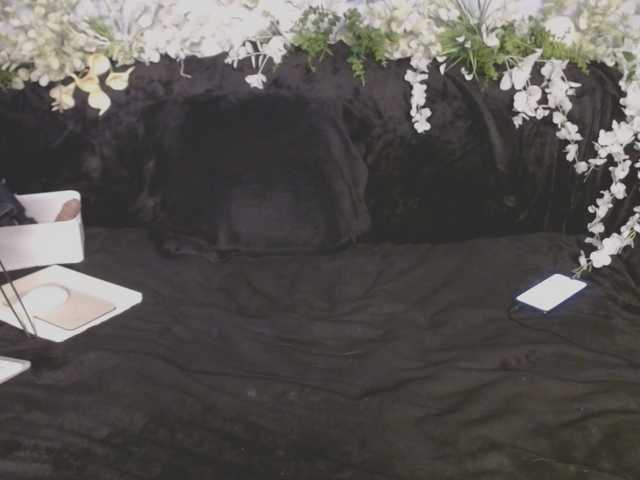 olhanodeta1ls's BongaCams show and profile