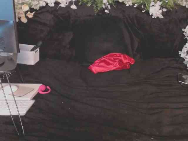 ViteR_ webcam